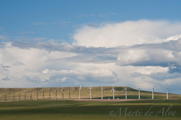 Wind Farm, Montana