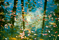 Gabriel's Pond