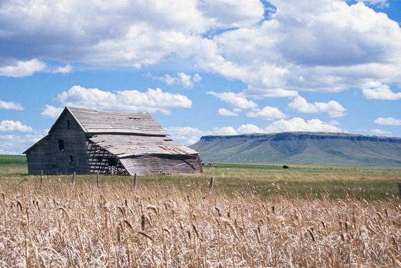 Barn with Square Butte